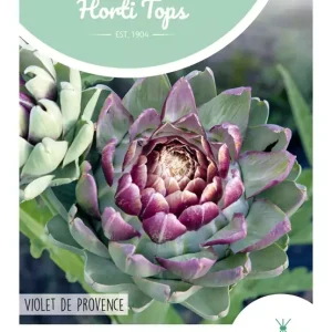 Artisjok Violet De Provence