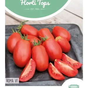 Tomaat Roma VF