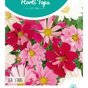 Cosmos, Cosmea Sea Stars gemengd