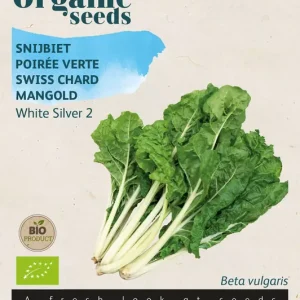 Snijbiet White Silver 2