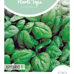 Spinazie Revere F1, 10 gram