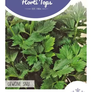 Selderij, gewone snij