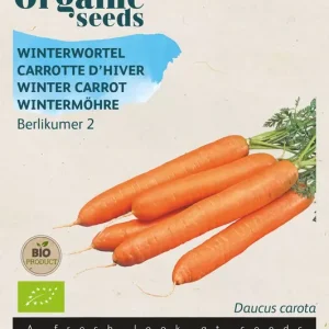 Winterwortel Berlikumer 2