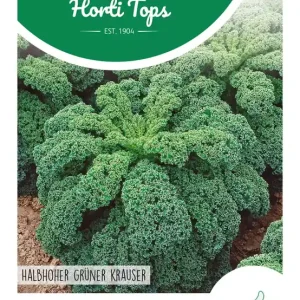 Boerenkool Middelhoge Fijne Krul