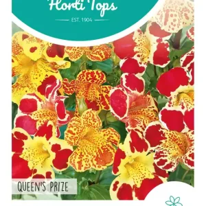 Mimulus, Maskerbloem Queen's Prize