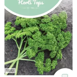 Peterselie Thujade Orig. Donkergroene