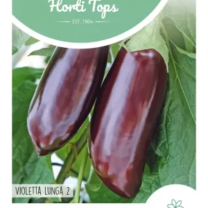 Aubergine Violetta lunga 2