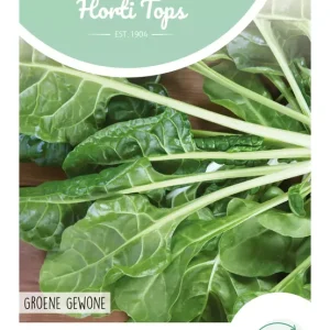 Snijbiet Groene Gewone