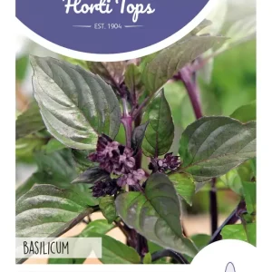 Basilicum Kaneelsmaak