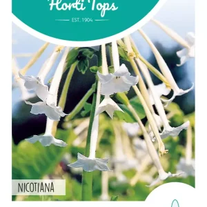 Nicotiana, Siertabak wit