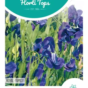 Lathyrus, Reuk- of Siererwt Royal Family Blauw