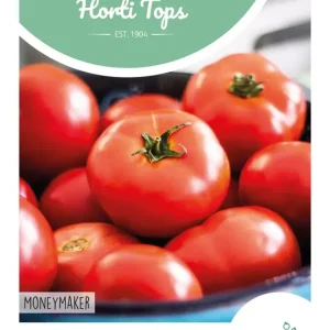 Tomaat Moneymaker