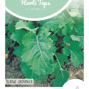 Snijmoes Blauwe Groninger