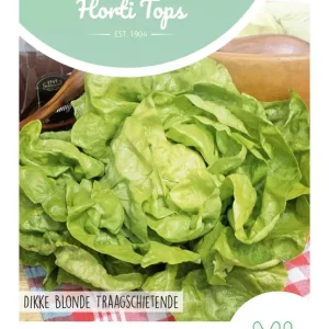 Kropsla Dikke Blonde Traagschietende