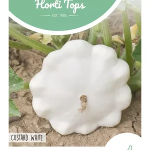 Squash Summer Satellite F1