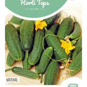 Augurk National (Kleine Groene)