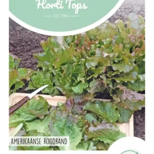 Pluksla, Amerikaanse Roodrand