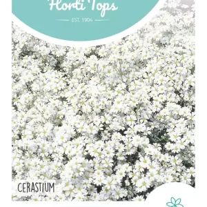 Cerastium, Hoornbloem wit