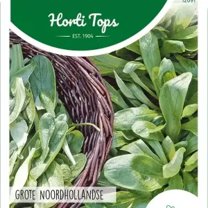 Veldsla Grote Noordhollandse, 15 gram