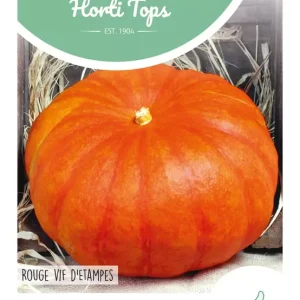 Pompoen Rode van Etampes