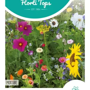 Zomerbloemen gemengd