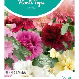 Althaea (Alcea), Stokroos Rosea Summer Carnival