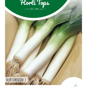 Prei Herfstreuzen 2, type Olifant