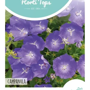 Campanula, Karpatenklokje blauw