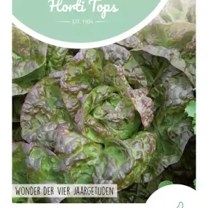 Kropsla Wonder van Vier Jaargetijden