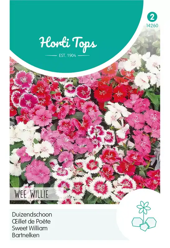 Dianthus, Duizendschoon Wee Willie gemengd
