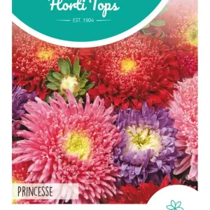 Callistephus, Zomeraster Princesse gemengd
