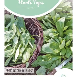 Veldsla Grote Noordhollandse