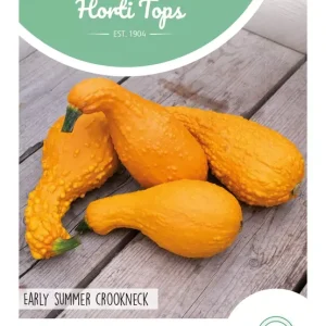 Courgette Early Summer Crookneck