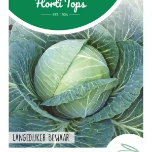 Witte kool Langedijker Bewaar
