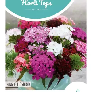 Dianthus, Duizendschoon enkelbloemig gemengd