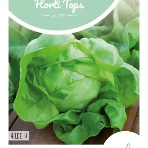 Kropsla Hilde, type Attractie