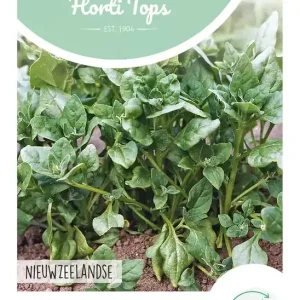 Spinazie Nieuwzeelandse