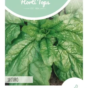 Spinazie Securo Wolfresistent A+B, 15 gram