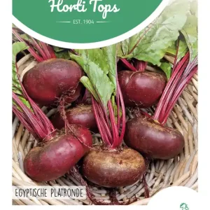 Bieten Egyptische Platronde