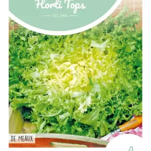 Krulandijvie De Meaux