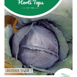 Rode kool Langedijker Bewaar 2