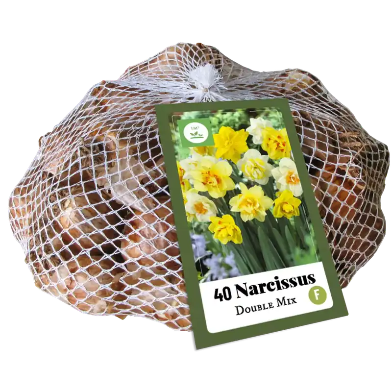 Narcissus Dubbel Mix