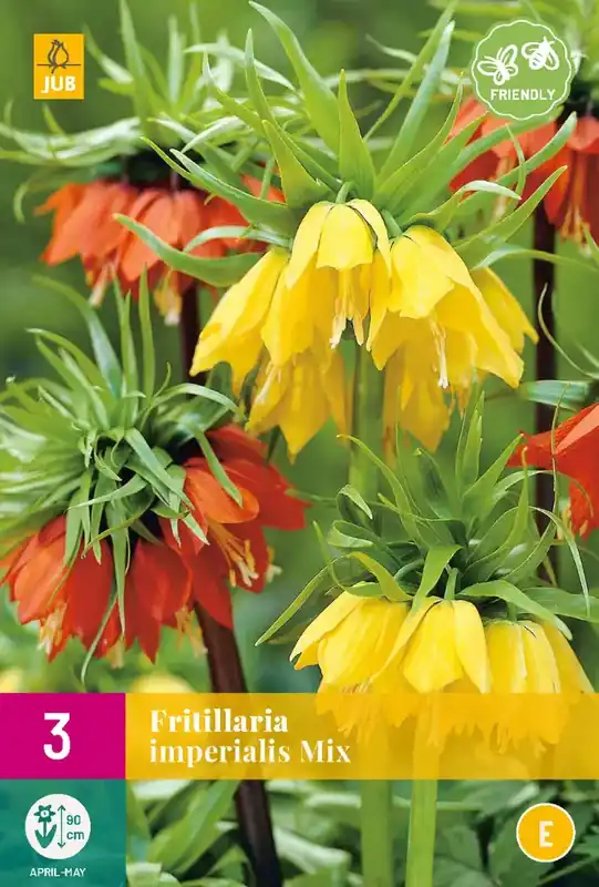 Fritillaria imperialis Mix