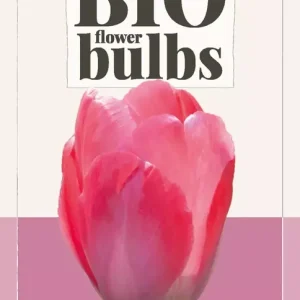 Tulipa Van Eijk - bio