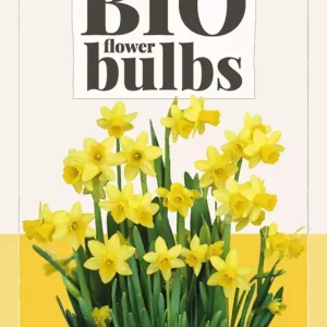 Narcissus T??te-??-T??te - bio