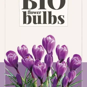 Crocus Grand Ma?tre - bio