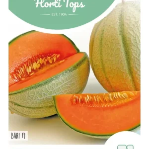 Meloen Oranje Magenta F1