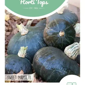 Pompoen Sweet Mama F1