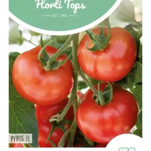 Tomaten Pyros F1
