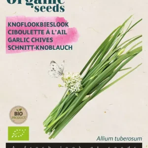 Chinese Knoflook-bieslook